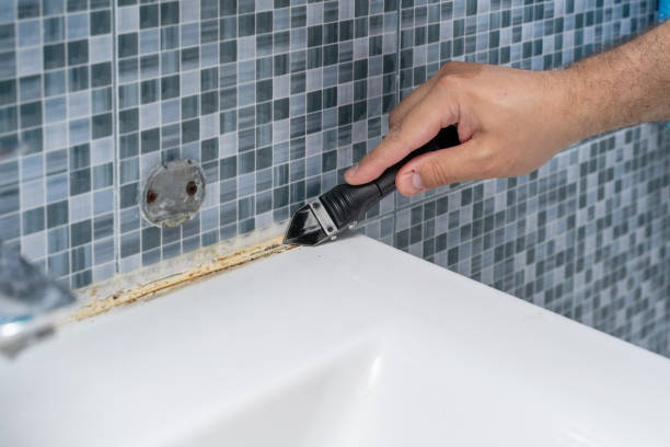 Best Mold Cleaning Services  in Sheffield, OH