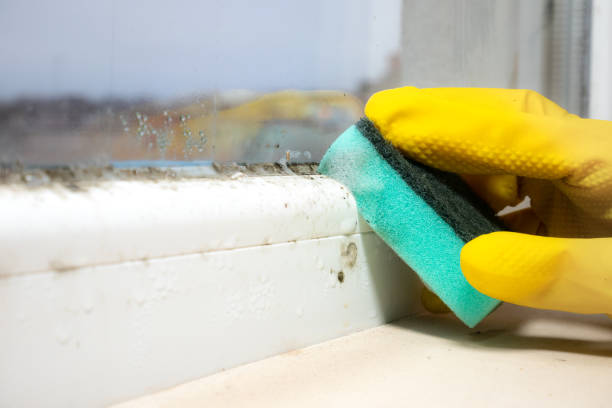 Best Mold Testing  in Sheffield, OH